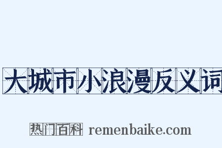 大城市小浪漫反义词是什么意思的图片